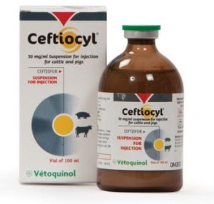 CEFTIOCYL Suspension 50mg 100ml
