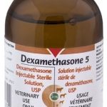 Dexamethasone 5mg 100 ml