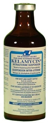 Kelamycin 250 ml