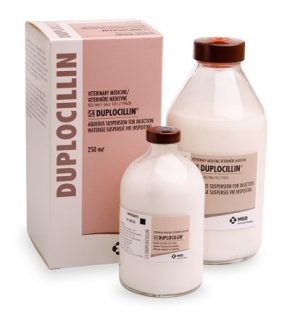Duplocillin LA 250mls