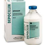 Depocillin 250ml