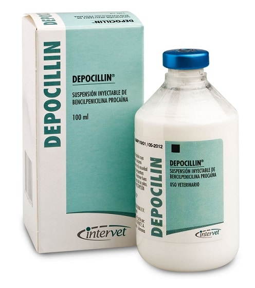 Depocillin 250ml
