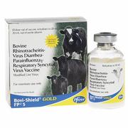 Bovi Shield Gold FP5 10 ds.