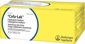 Cefa-Lak Box 24x10ml